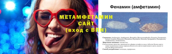 PSILOCYBIN Михайлов