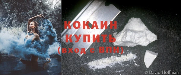 PSILOCYBIN Михайлов