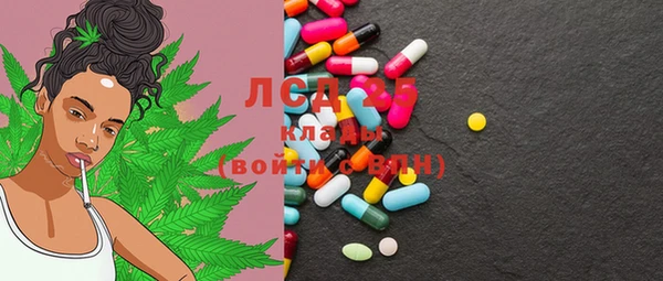 PSILOCYBIN Михайлов