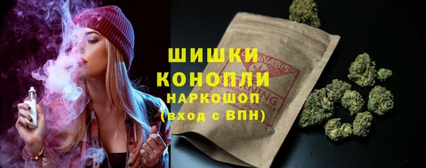 PSILOCYBIN Михайлов