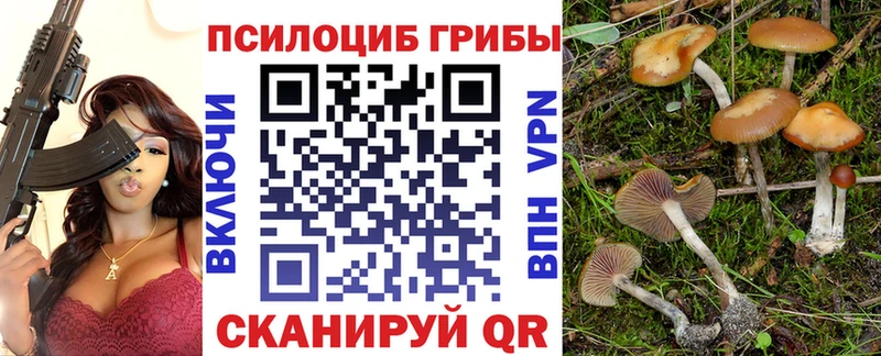 купить наркоту  Шарыпово  Галлюциногенные грибы мухоморы 